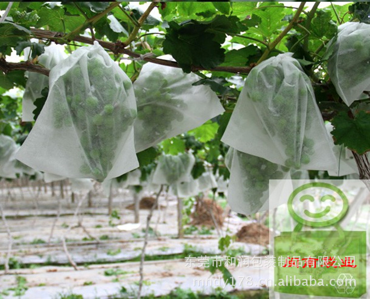 T2DAKEXlRcXXXXXXXX_!!158456929