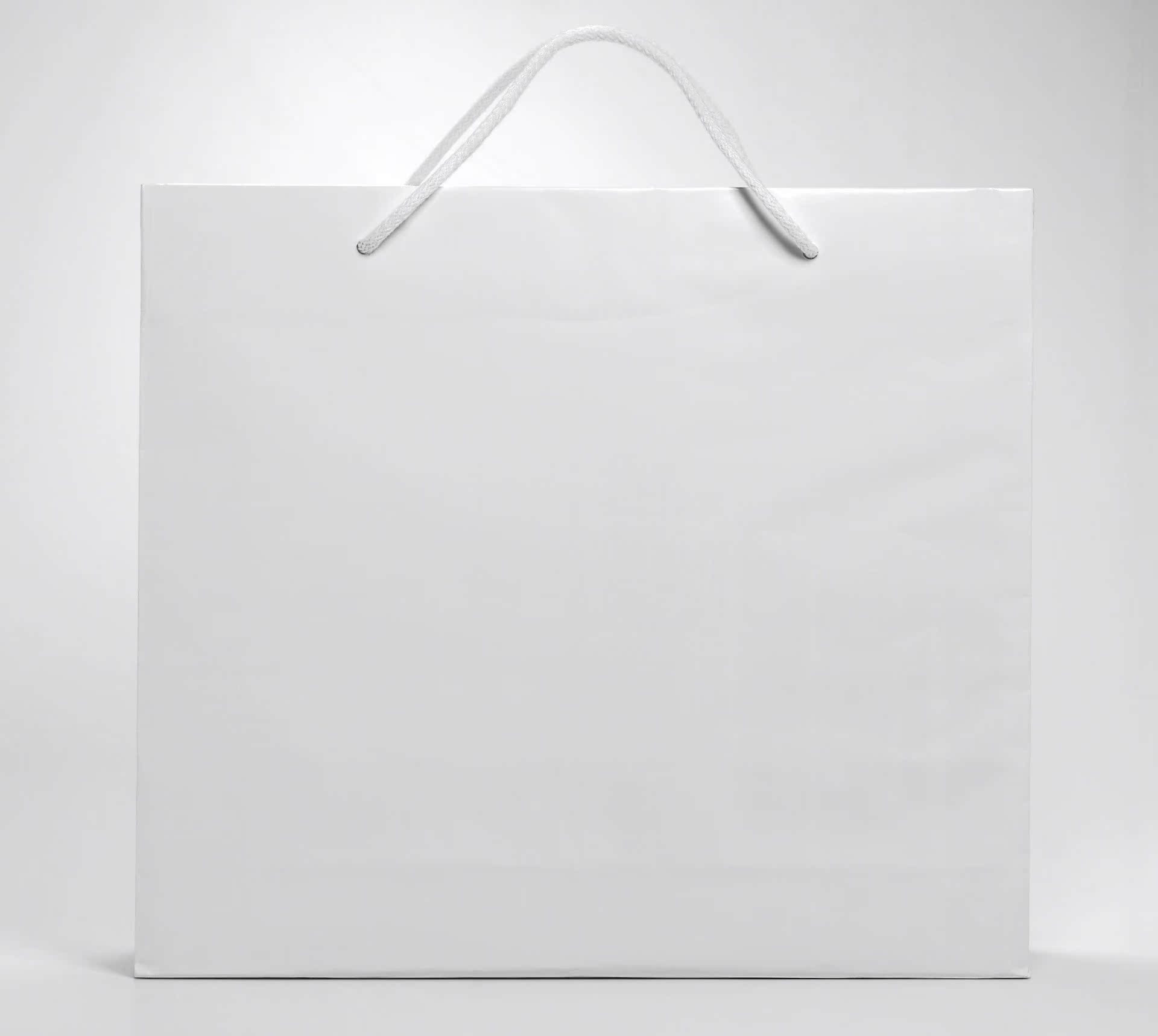 纸袋 服装纸袋 手提纸袋 设计定做纸袋 白样纸袋