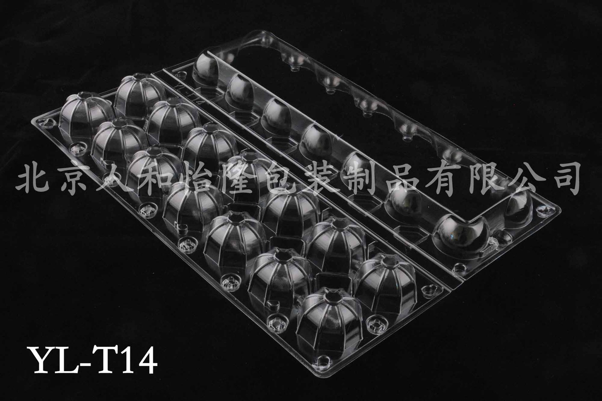 YL-T14 BK