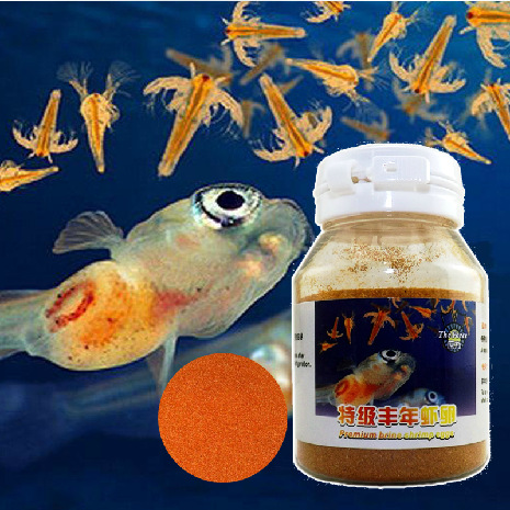 虾卵-丰年虾卵(90%孵化率)--阿里巴巴采购平台