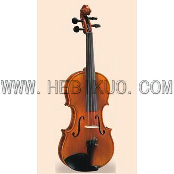 拉弦类乐器-供应红棉牌高级小提琴V003 背侧板