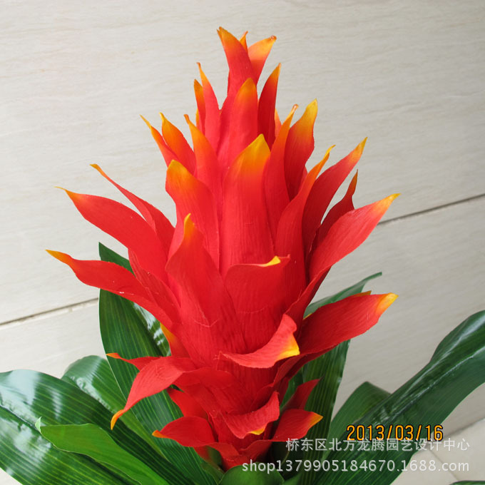 特价仿真花 盆栽客厅假花装饰批发盆景 50cm仿真大号鸿运当头花图片_7
