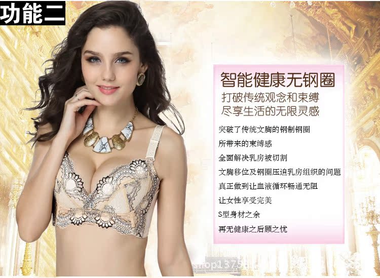 【<em>调整型文胸热妒</em>同款无钢圈刺绣内衣四排扣肤