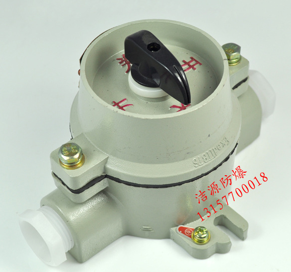 SW-10系列防爆照明开关_副本