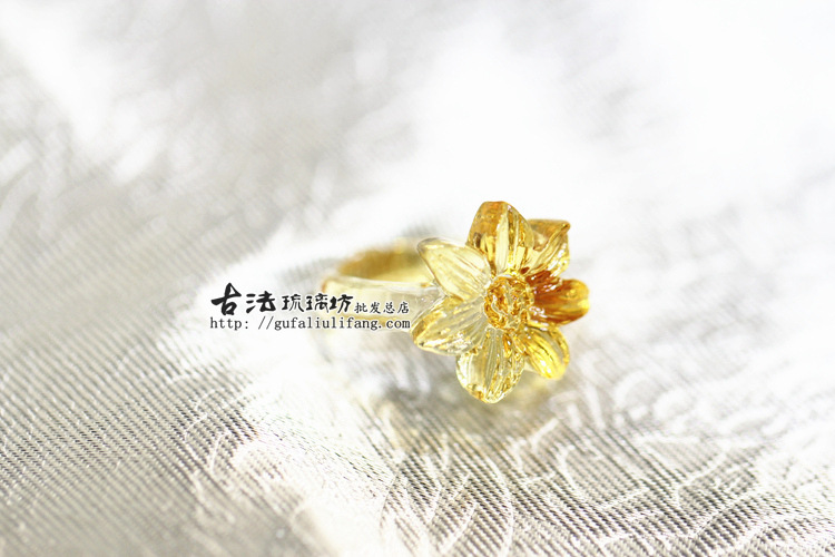 菊花 (2)