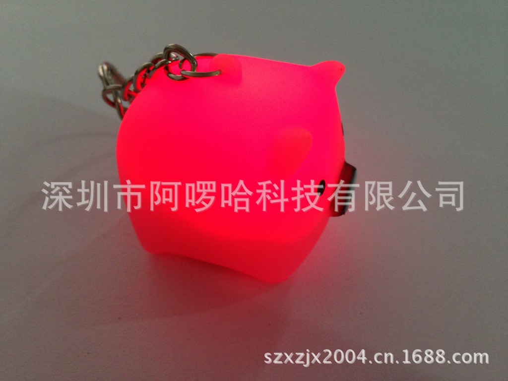 conew_130625 (315)