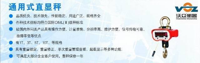 通用型直显电子吊秤