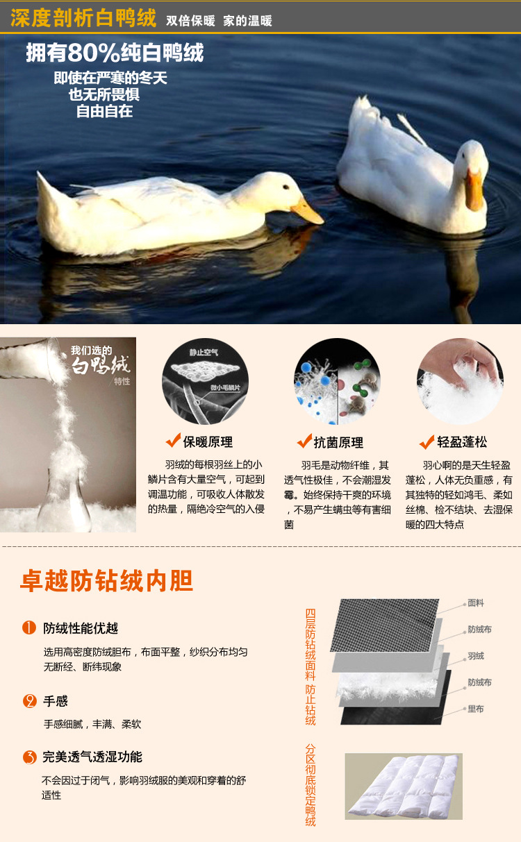 解析