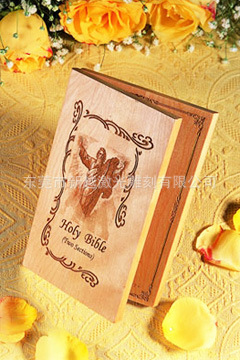 806491137_1338522701[1]