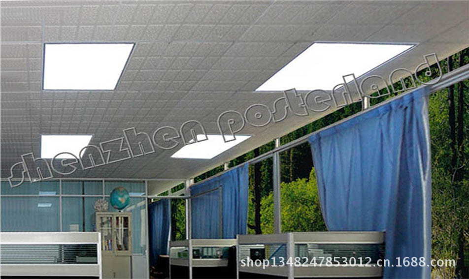 LED Panel Light(600600)(2)