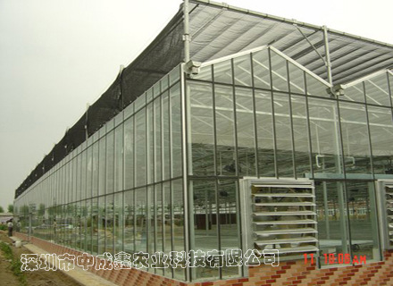 玻璃温室1