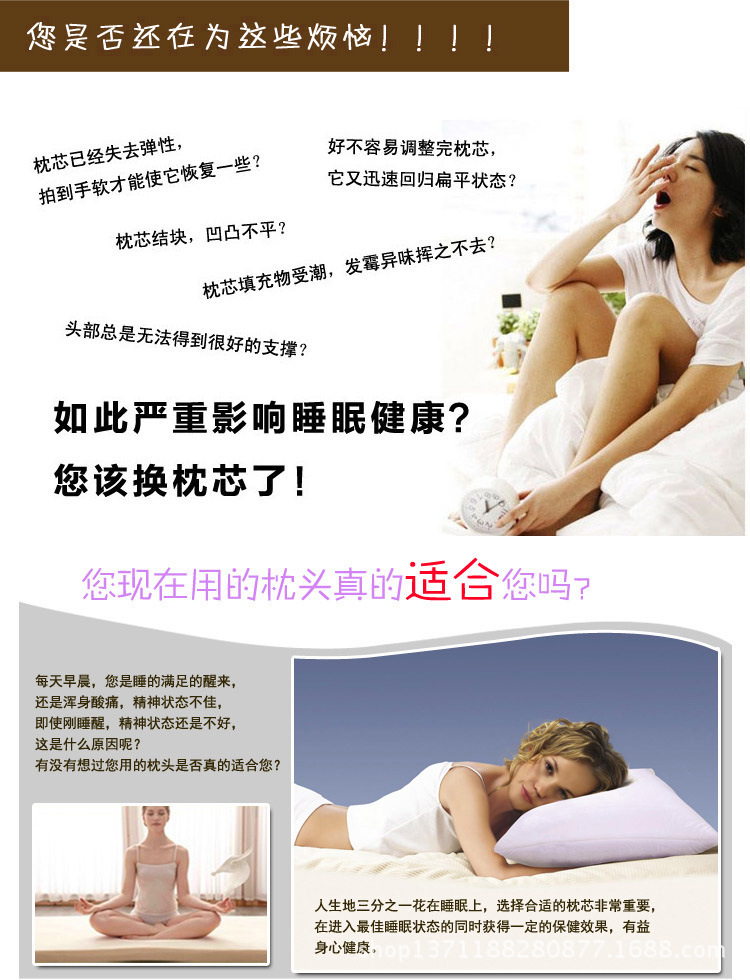 决明子蚕丝枕1