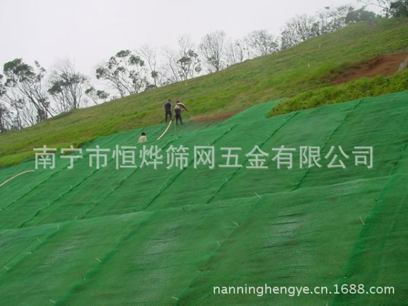 三维植被网