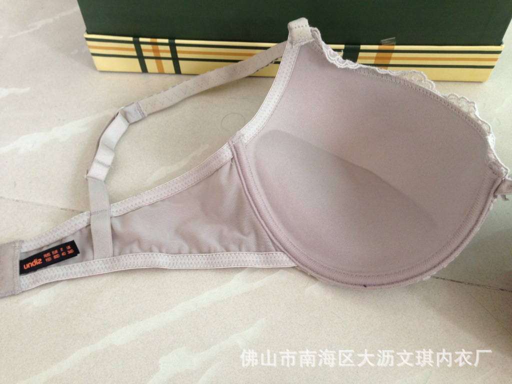 照片 528
