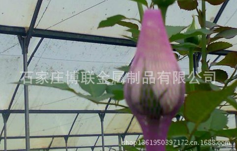 玫瑰花网套9