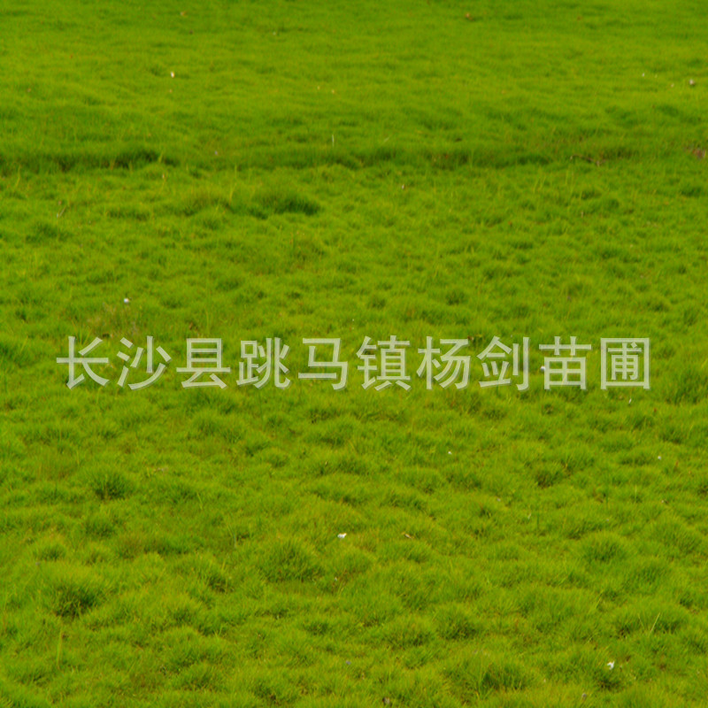 DSC01643_副本