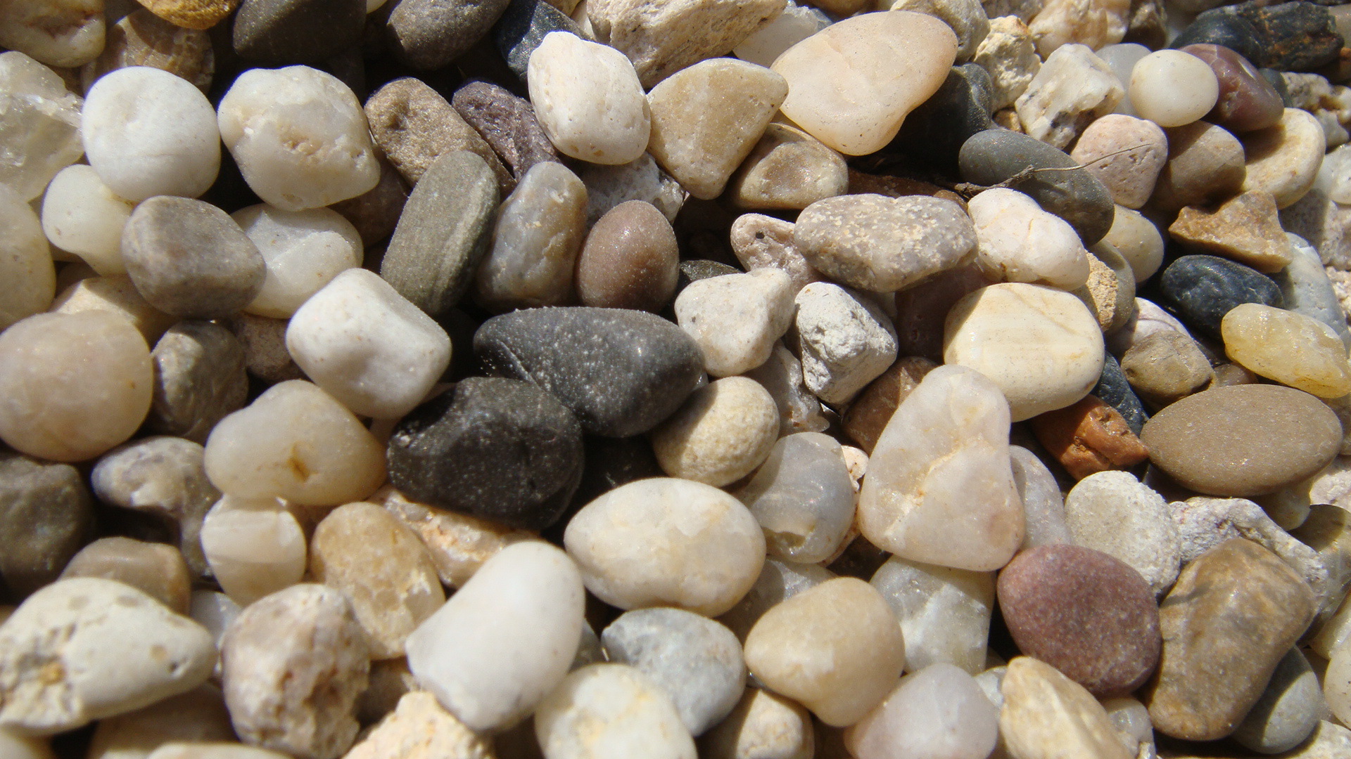 鹅卵石滤料,水处理专用鹅卵石.海卵石,量大优惠