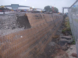 3d2d3bda388455a5e034ca6977ee55