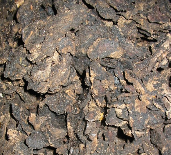 植物原药材-供应优质生地,熟地-植物原药材尽在