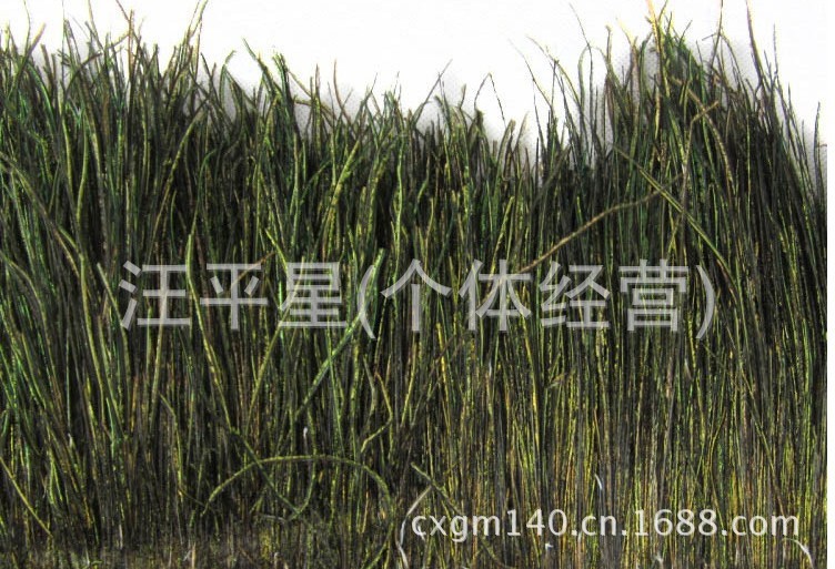 QQ图片20130912233136