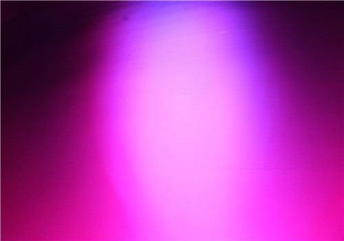 DSCF2867