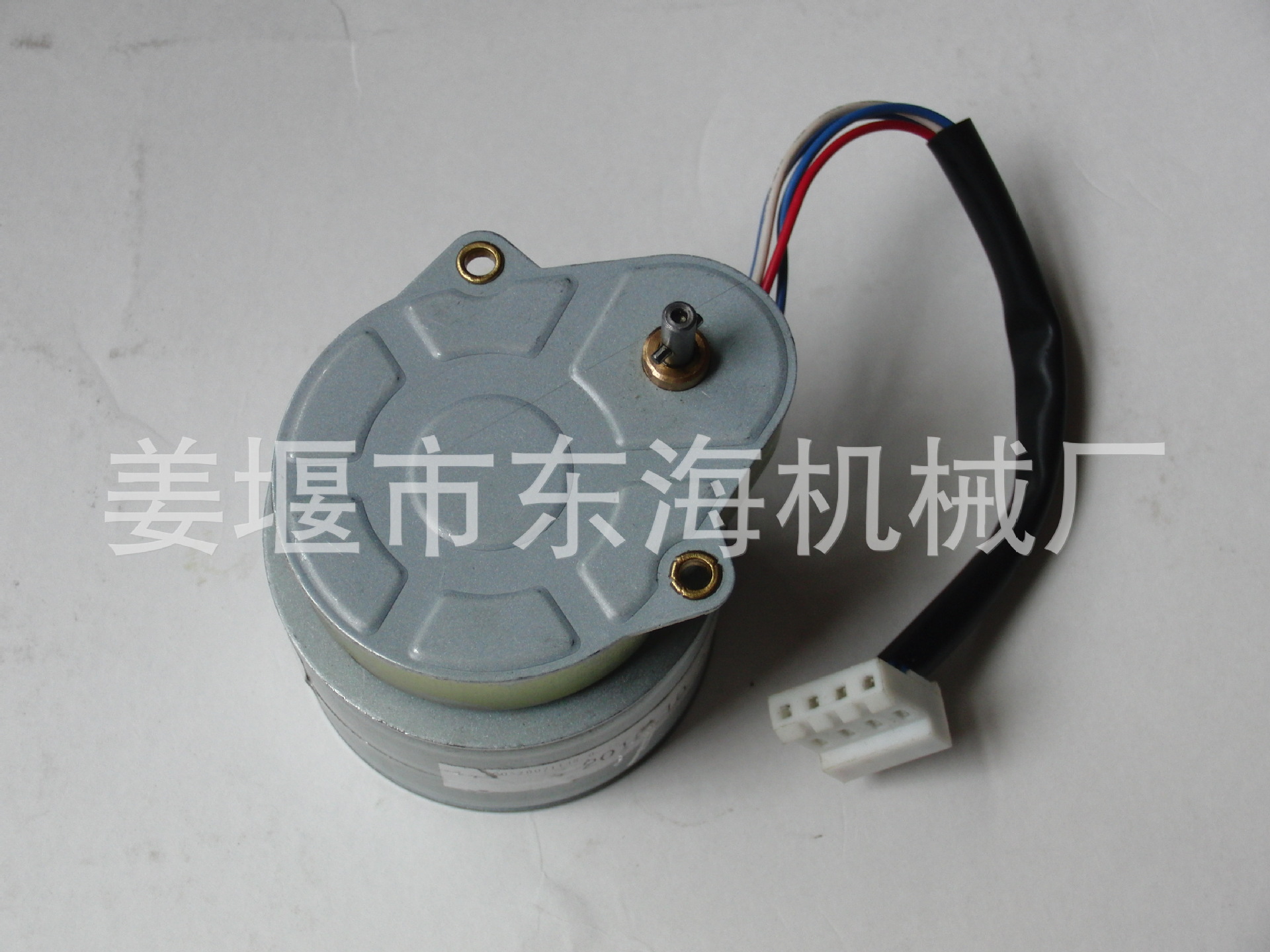 齿轮电机AS-0111-4 (1)