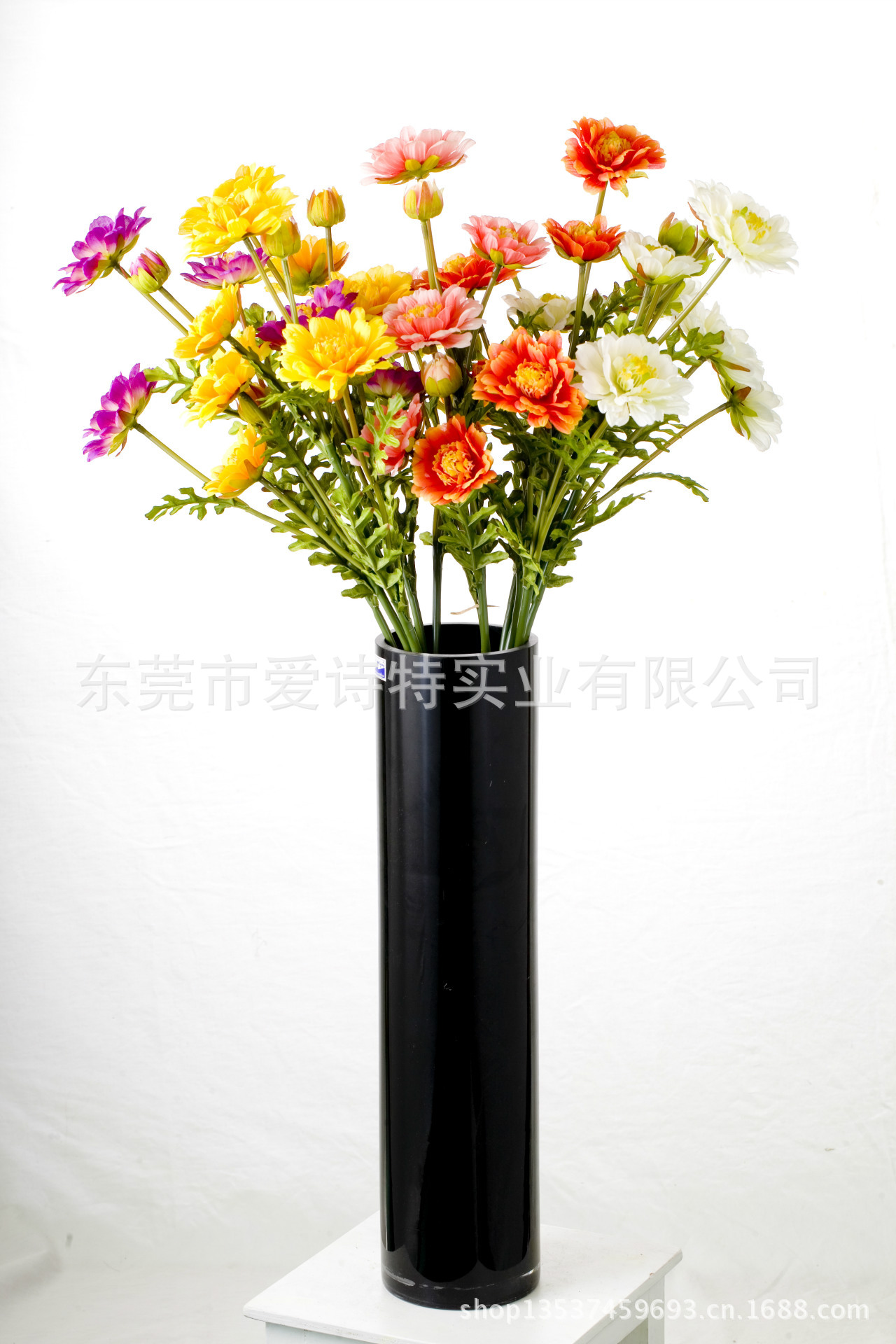 7头富贵菊12（7-Head Cineraria）SJB07