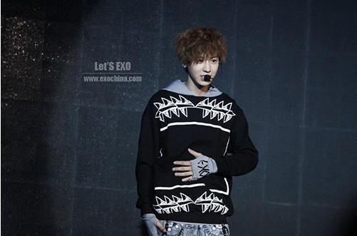 批发采购情侣装-2014春秋新款男女情侣卫衣 E