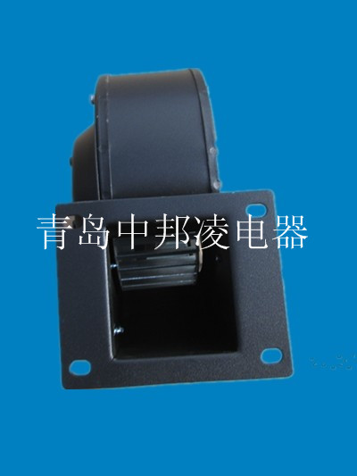 IMG_2193_副本_副本