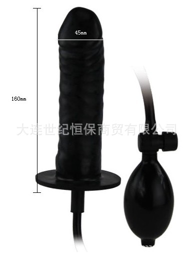 百樂後庭充氣2