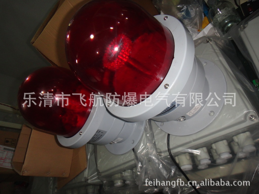 DSC02404