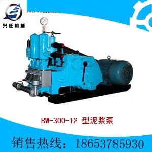 BW-300-12 型泥漿泵