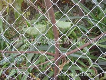 u=1559860393,4186160535&fm=23&