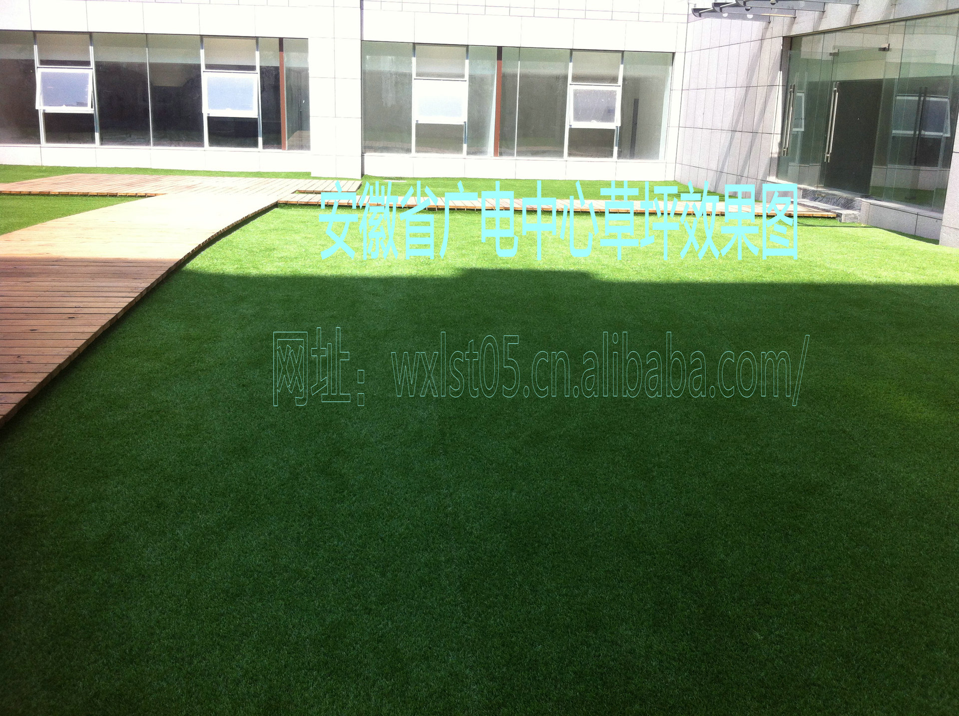 广电中心草坪效果图