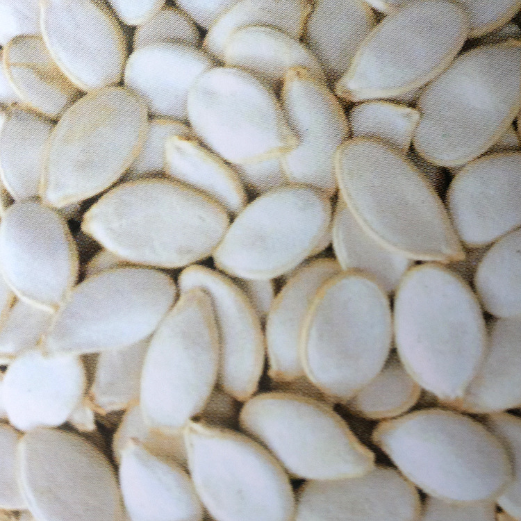 【西北特产 供应优质白南瓜子 农副产品生产加