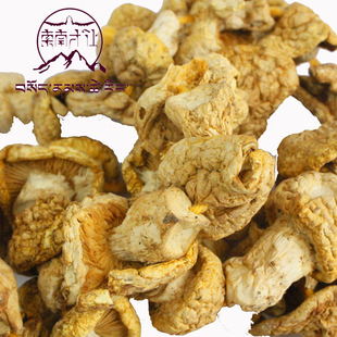 植物原药材-黄蘑菇原料 青海野生特级黄蘑菇批