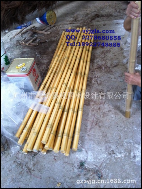 conew_conew_11111 595