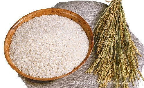 米的营养价值