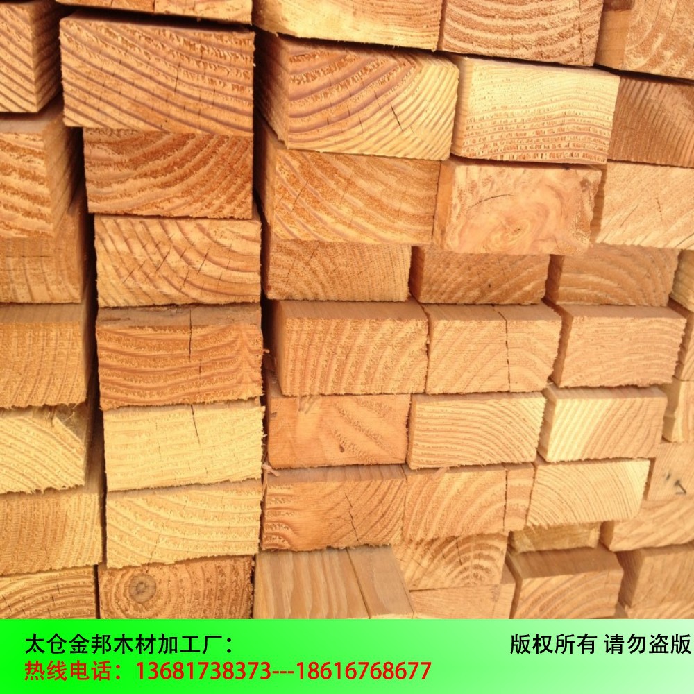 conew_conew_img_0387