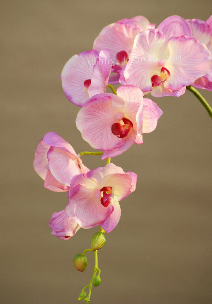 【西安仿真花批发市场-假花批发-塑料花批发-梦