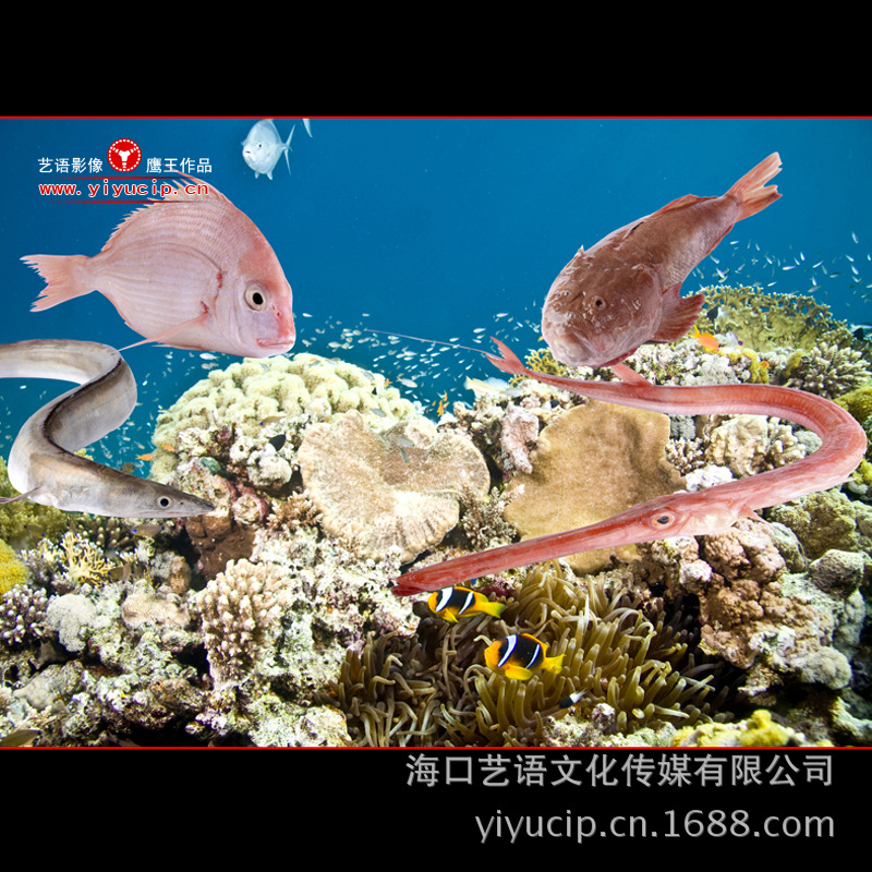 海底