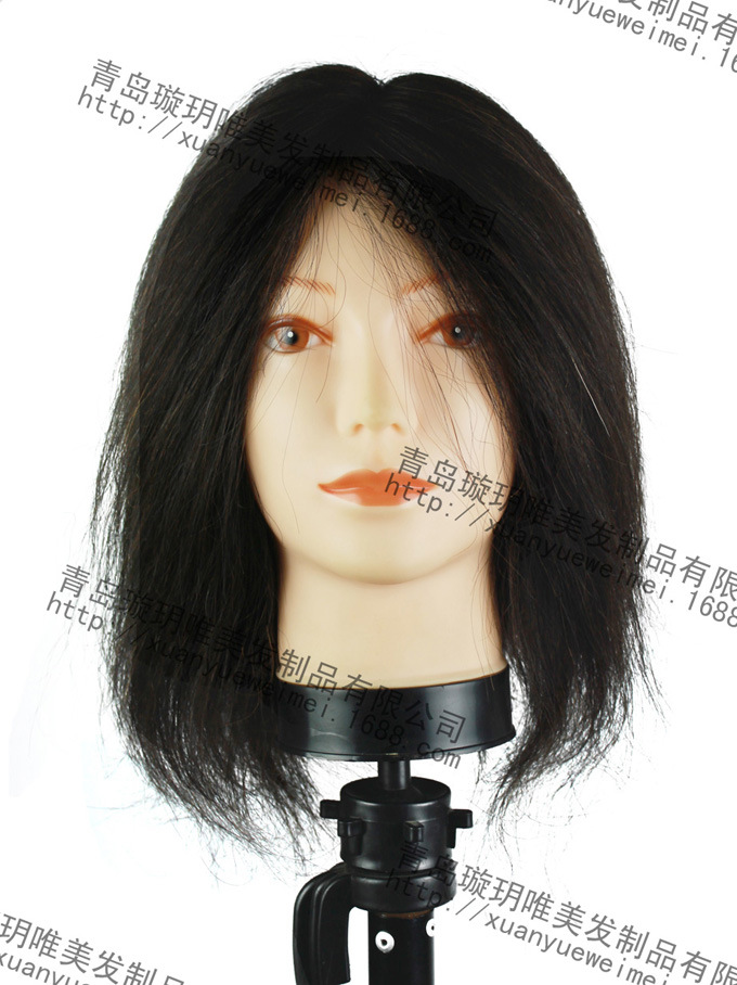 供应100%人发、教习发、教习头、模特头、厂