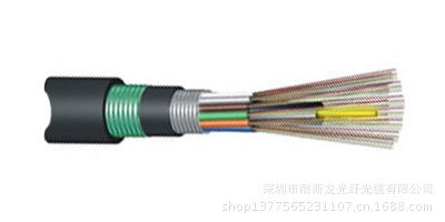 层绞式非金属加强芯铠装光缆GYFTA53.1jpg