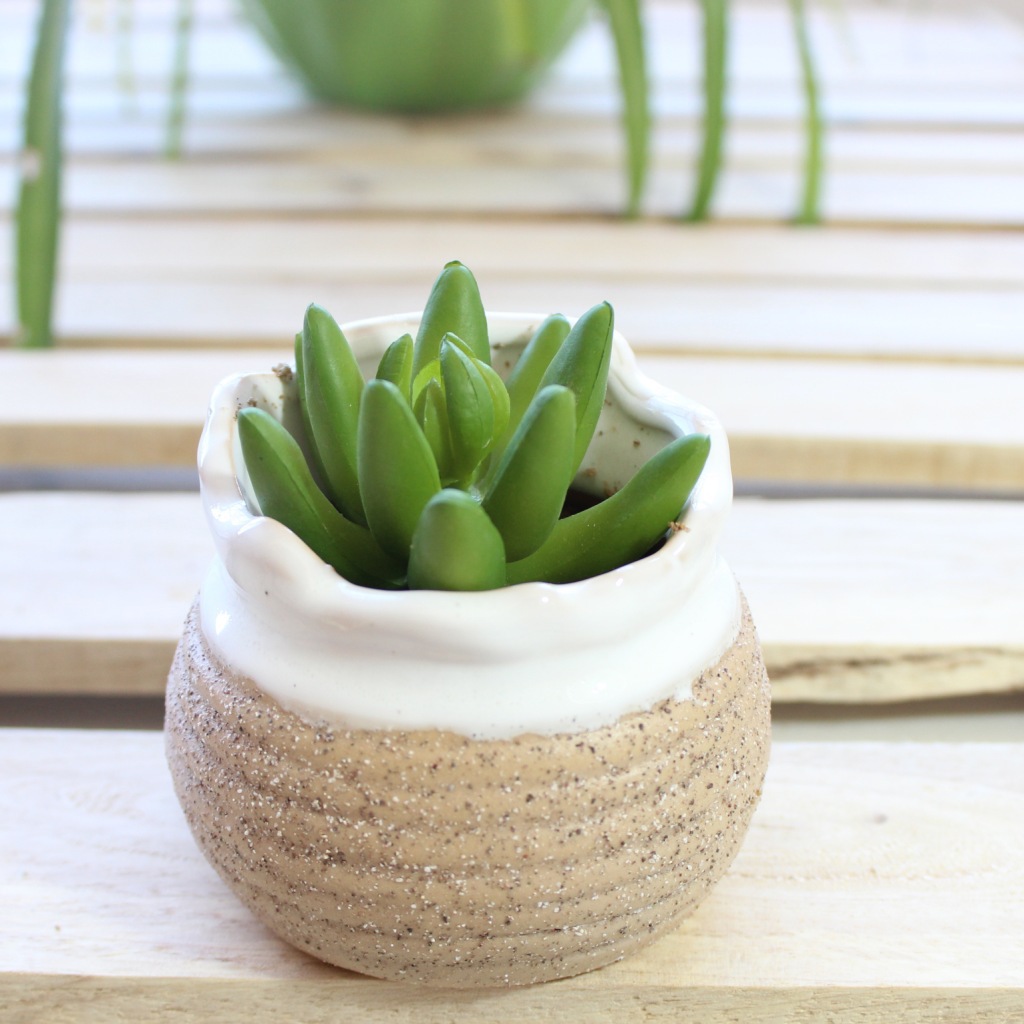 厂家直销陶瓷花盆 韩式多肉植物陶花盆批发 花