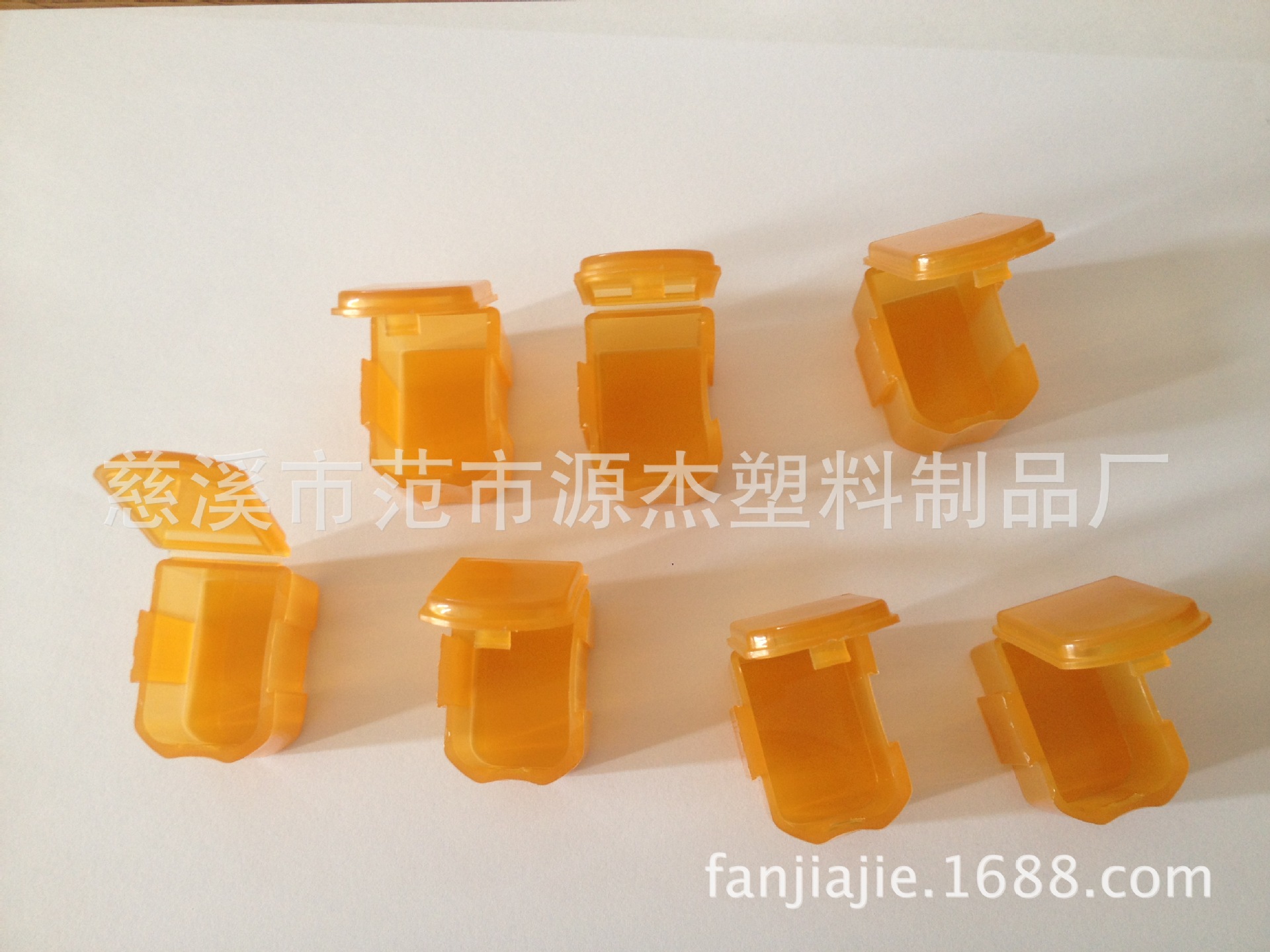 照片 269