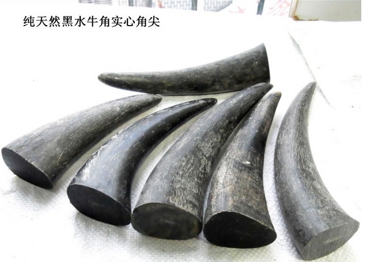 黑水牛角尖实心原料 水牛角尖雕刻原材料 14cm以上大牛角尖