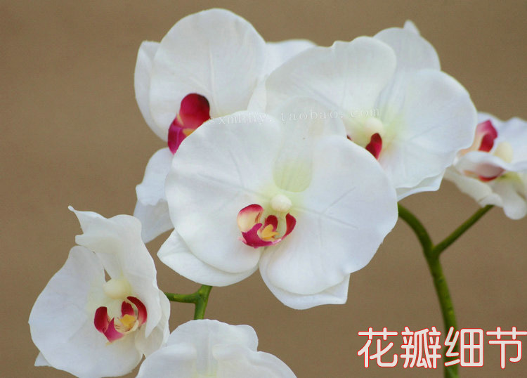 【西安仿真花批发市场-假花批发-塑料花批发-梦