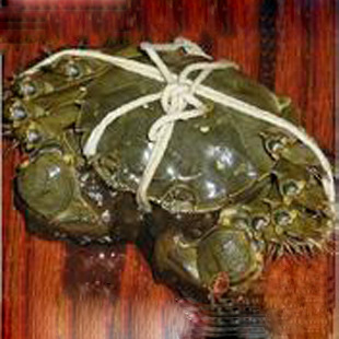 u=2287325851,1617742996&fm=21&