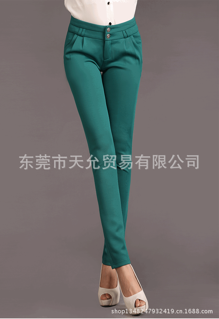 <em>郭娜</em>韩版秋冬季时尚加厚大码小脚铅笔裤休闲裤