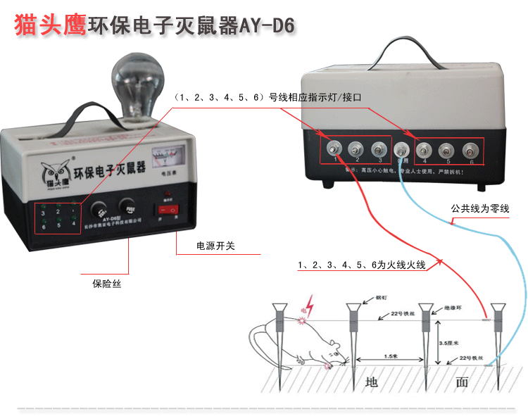 T2a3n6Xe4XXXXXXXXX_!!15406486